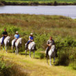 passeggiate a cavallo marina romea nel Parco del Delta