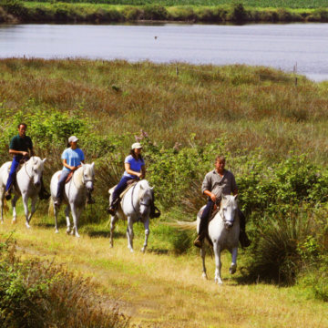 passeggiate a cavallo marina romea nel Parco del Delta