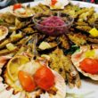 Molluschi Panati