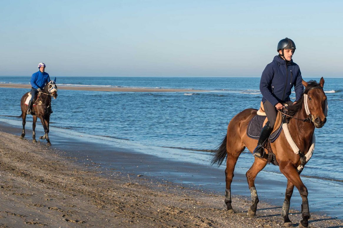 Vivere insieme (e in sella) a un cavallo