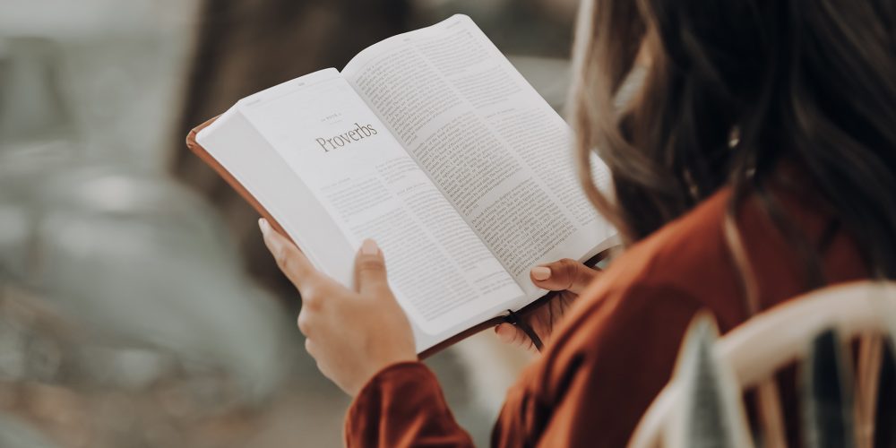 Dove leggere a Marina Romea