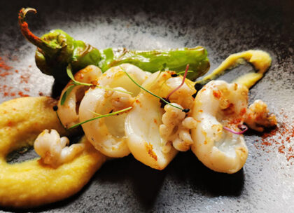 spiedini di calamari