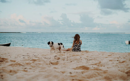 animali in spiaggia