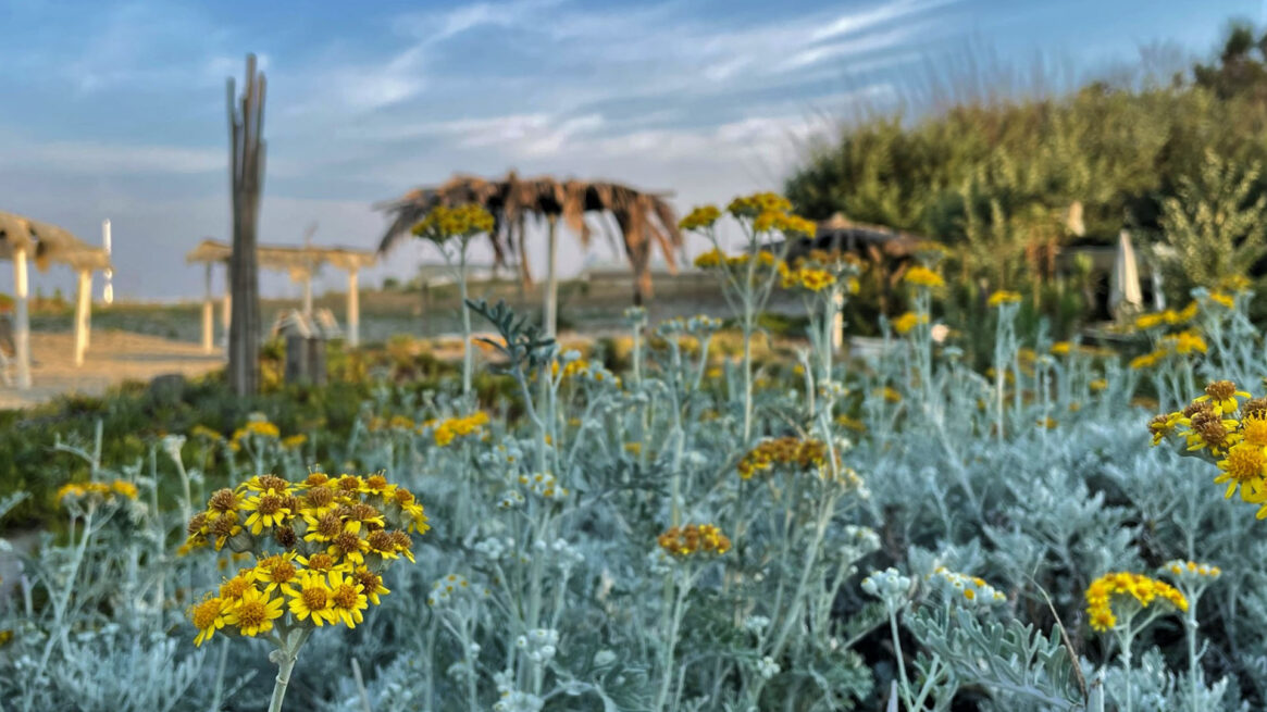 Mare e felicità: un po’ di dritte utili
