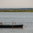 natura di Marina Romea