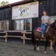 cavallo felice marina romea