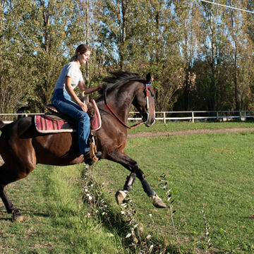 centro ippico cavallo felice