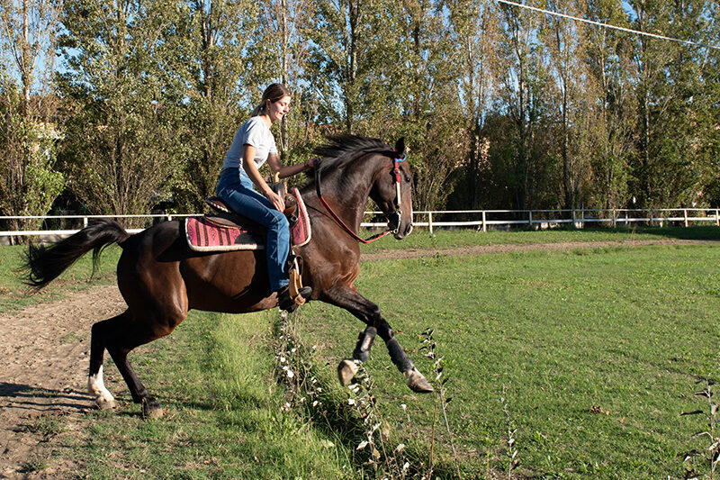 centro ippico cavallo felice