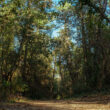natura Delta del Po