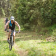 mountain bike a Marina Romea