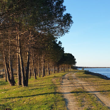 marina romea in autunno