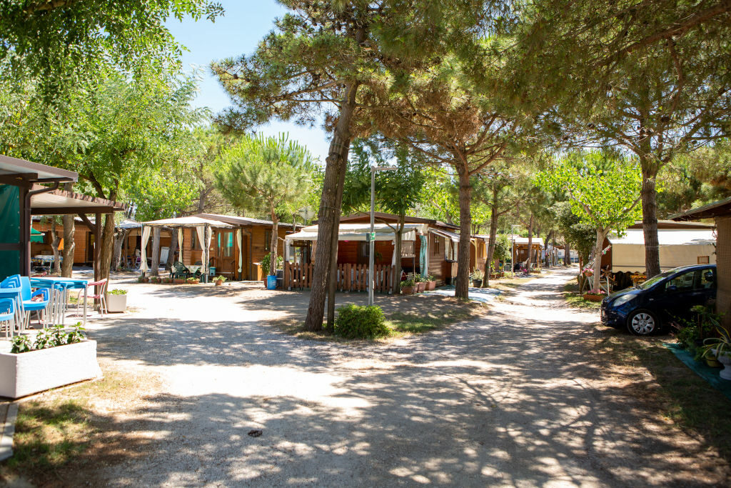 Camping Pineta